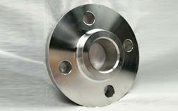 Monel Pipe Flanges