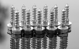 SS Fasteners SS Fasteners