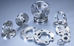 SS Flanges SS Flanges