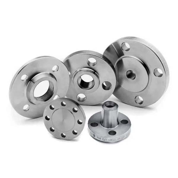 Stainless Steel 316 Pipe Flanges Manufacturers in Delhi