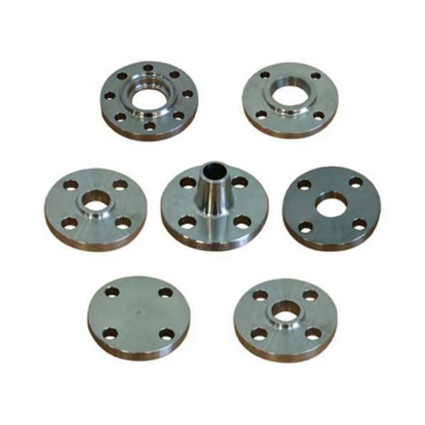 Stainless Steel Flanges Manufacturers in Delhi